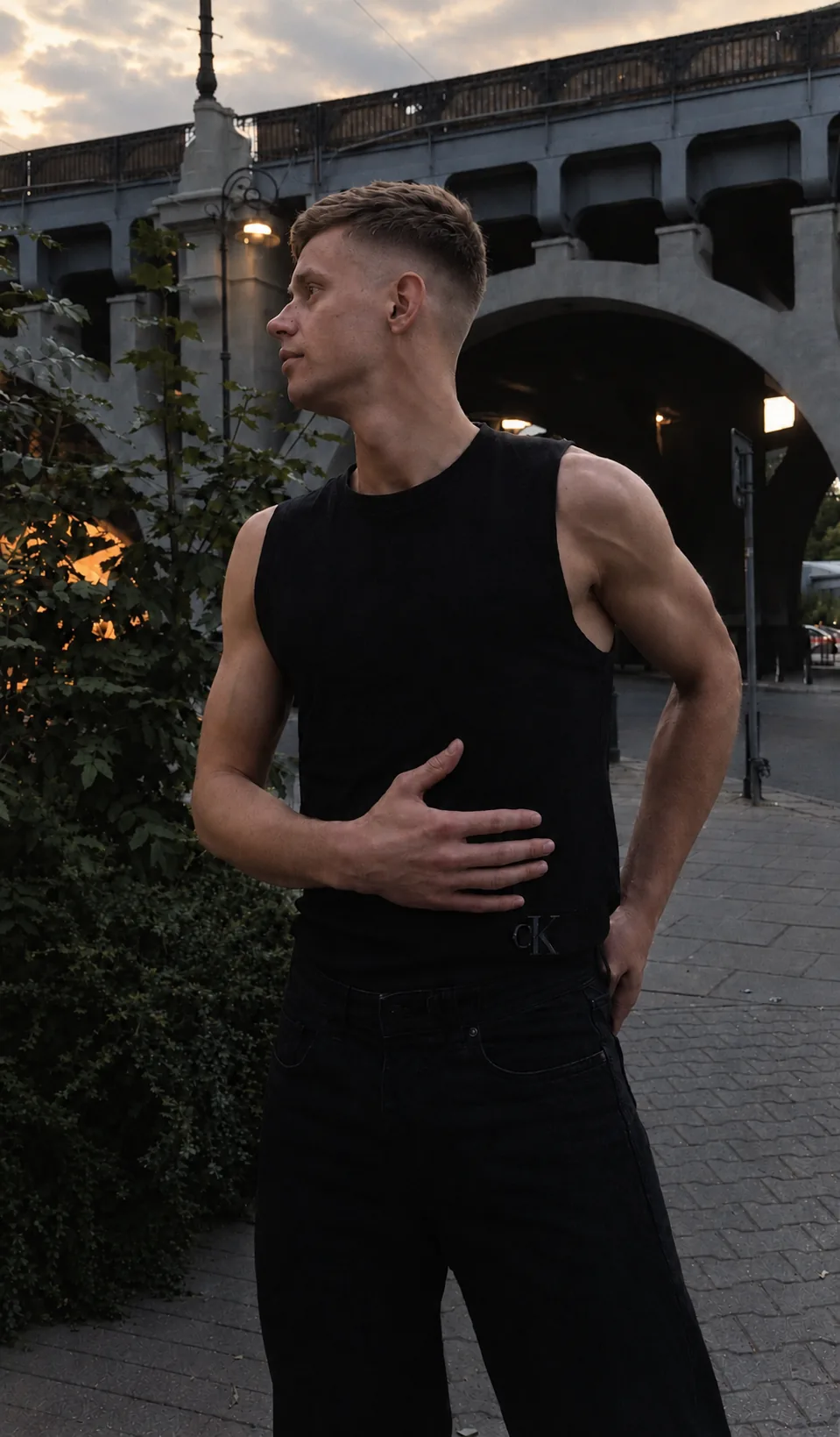 Владислав Вейн